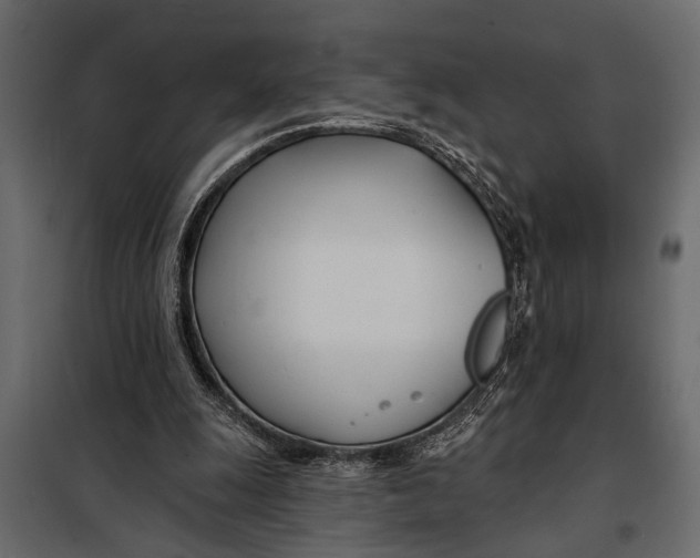 X0000098030247200804251421