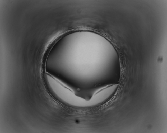 X0000098030248200804251421