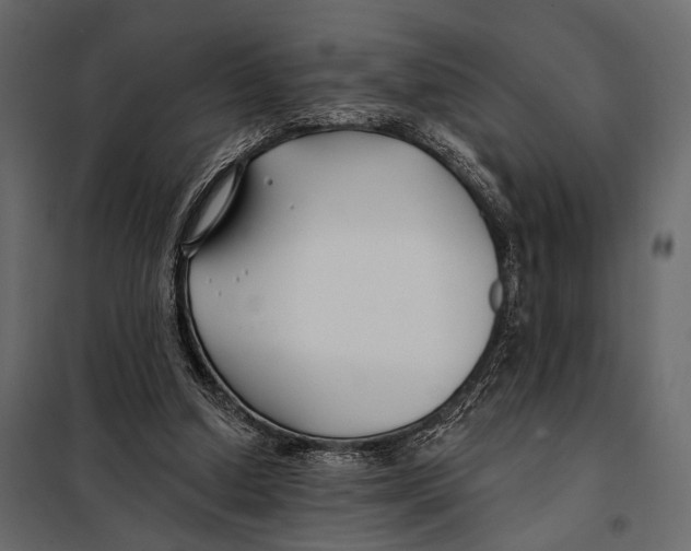 X0000098030250200804251421