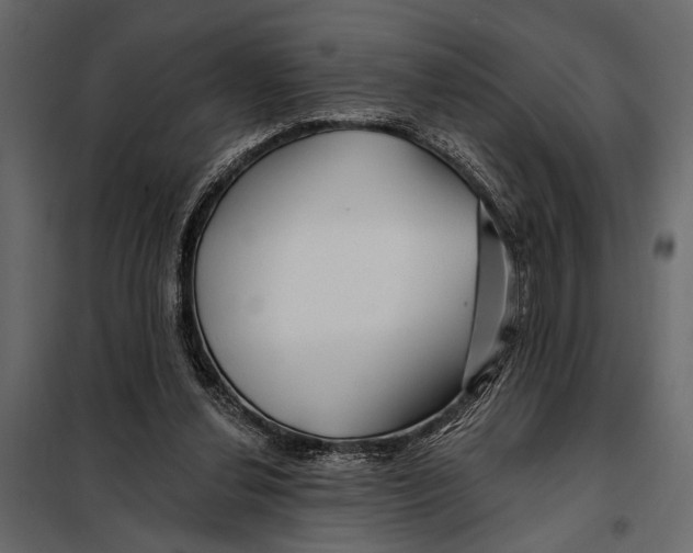 X0000098030252200804251422