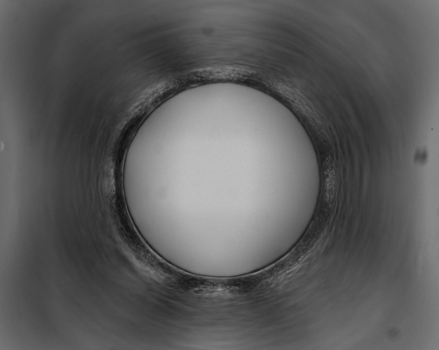 X0000098030254200804251422