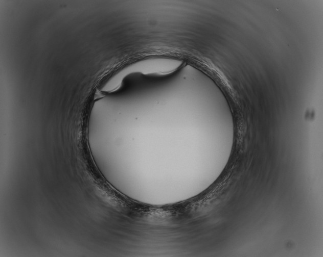 X0000098030257200804251422