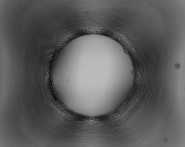 X0000098030259200804251422