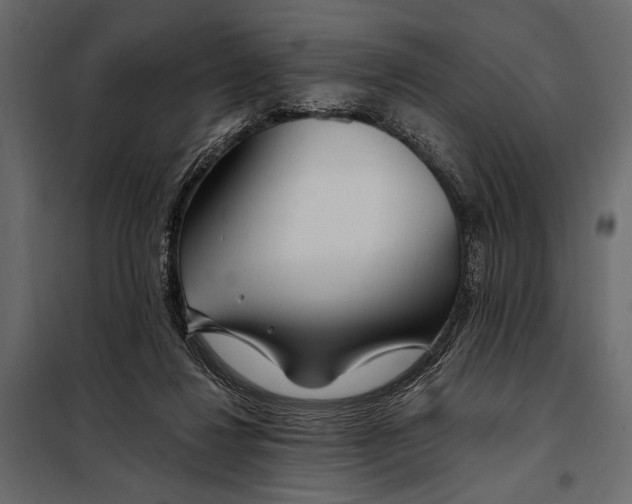 X0000098030260200804251422