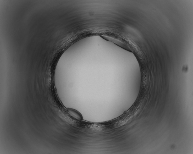 X0000098030261200804251422