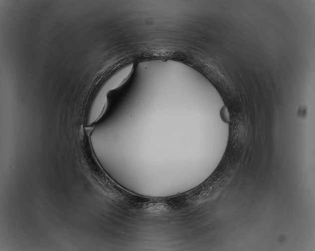 X0000098030262200804251422