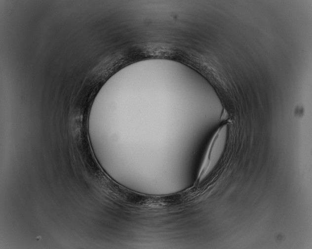 X0000098030263200804251422