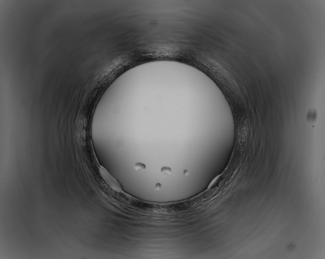 X0000098030264200804251422