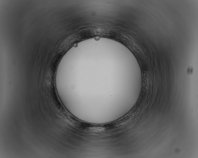 X0000098030266200804251422