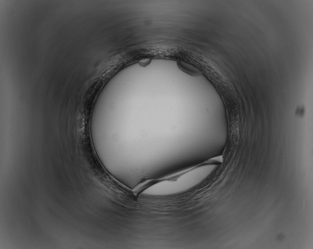 X0000098030268200804251422