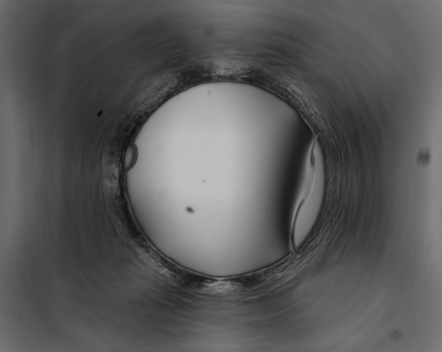 X0000098030269200804251422