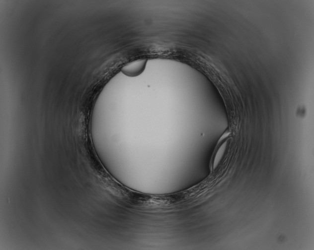 X0000098030270200804251422