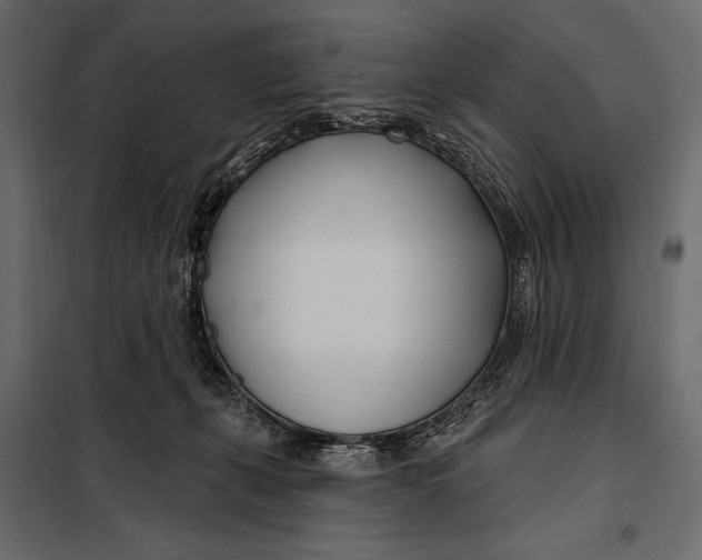 X0000098030271200804251422