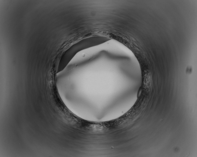 X0000098030272200804251422