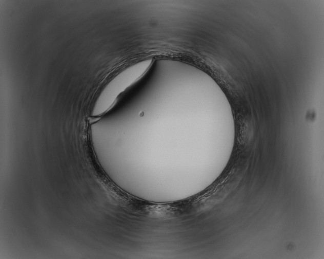 X0000098030273200804251422