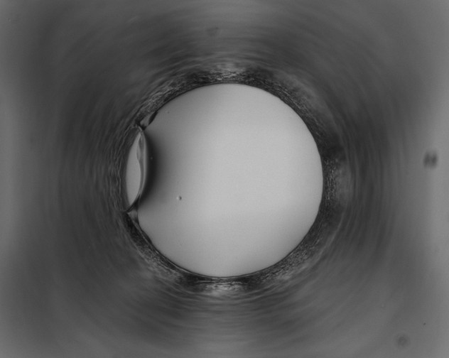 X0000098030274200804251422