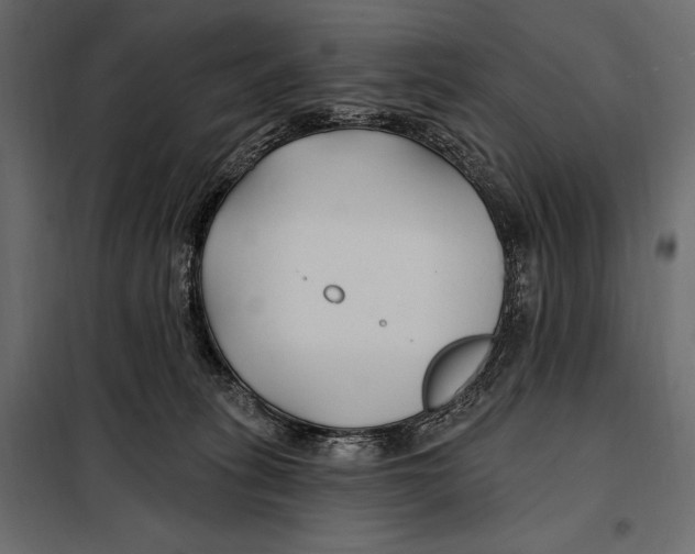 X0000098030275200804251422