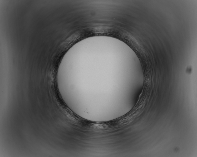 X0000098030277200804251422