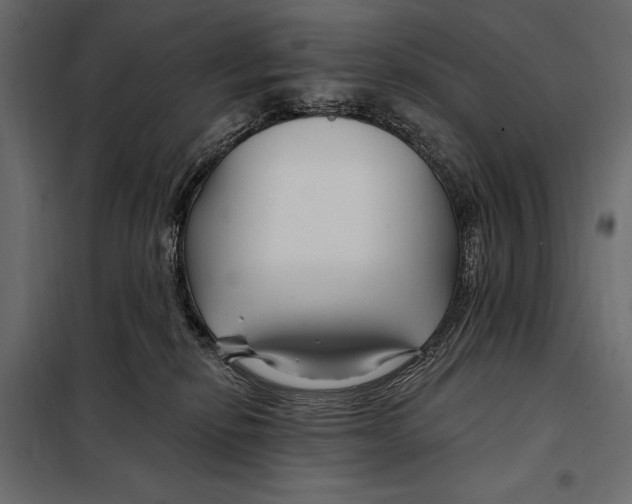 X0000098030278200804251422