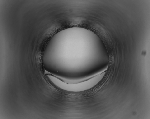 X0000098030280200804251422