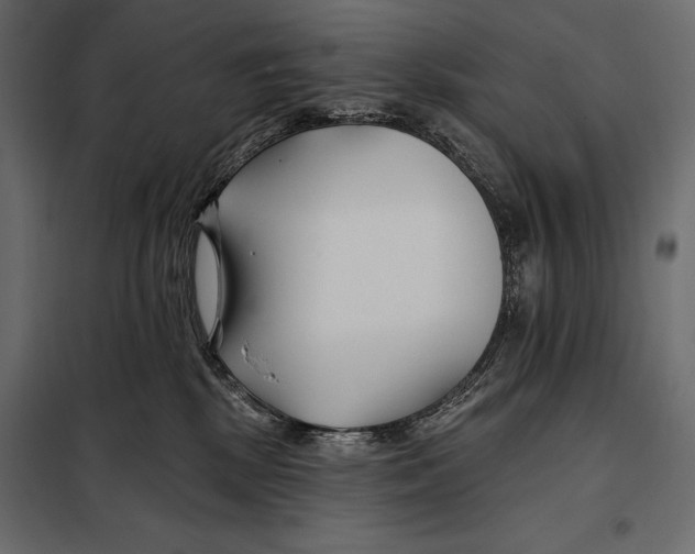 X0000098030281200804251422