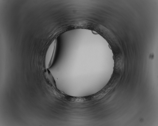 X0000098030282200804251422