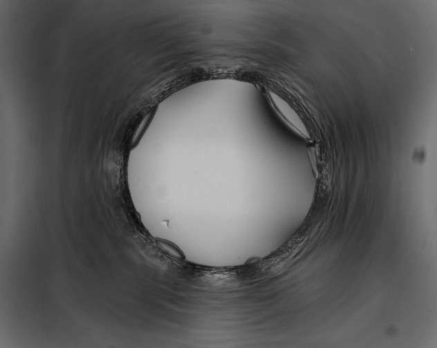 X0000098030283200804251422