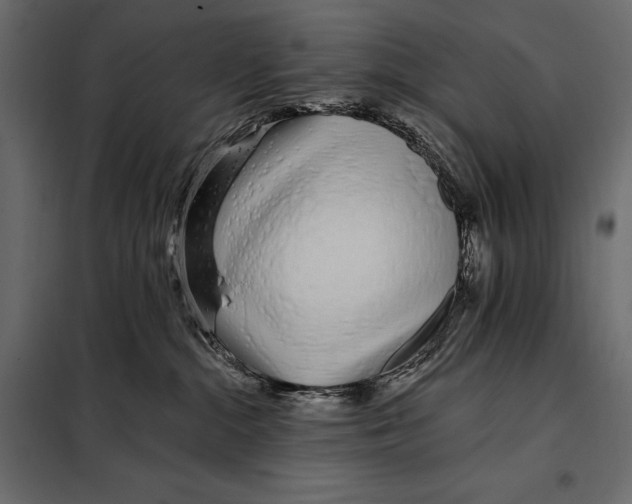 X0000098030284200804251422