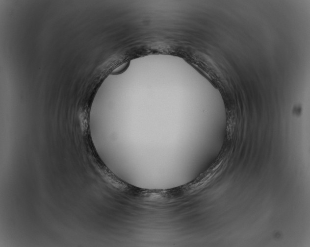 X0000098030285200804251422