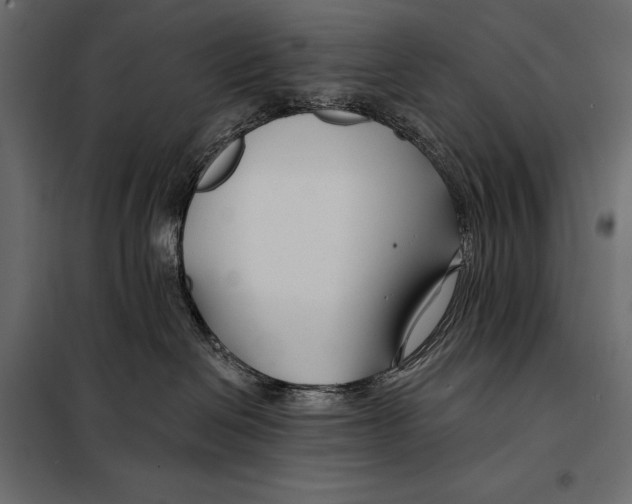 X0000098030286200804251422