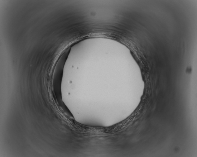 X0000098030289200804251421