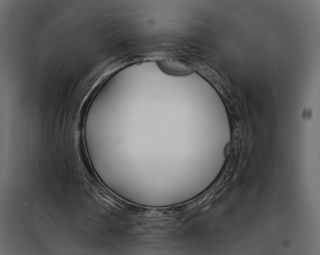 X0000098030290200804251421