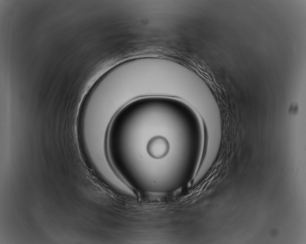 X0000098030292200804251421