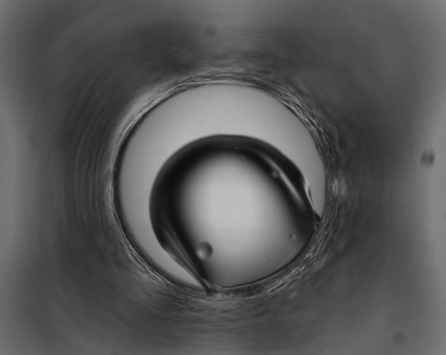 X0000098030293200804251421