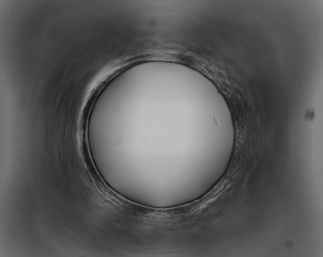 X0000098030294200804251421