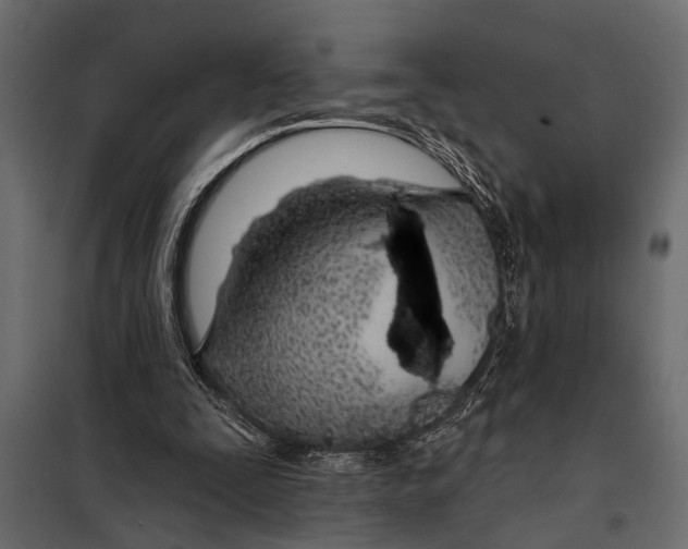 X0000098030295200804251421