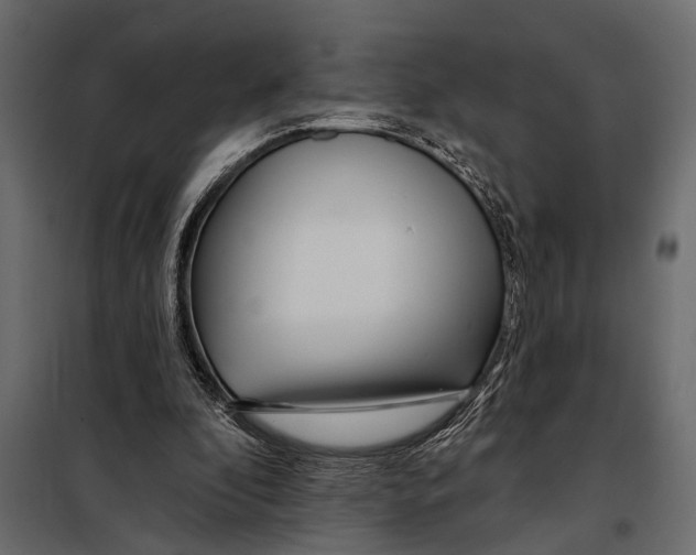 X0000098030296200804251421