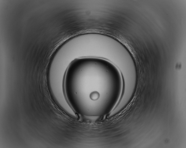 X0000098030297200804251421