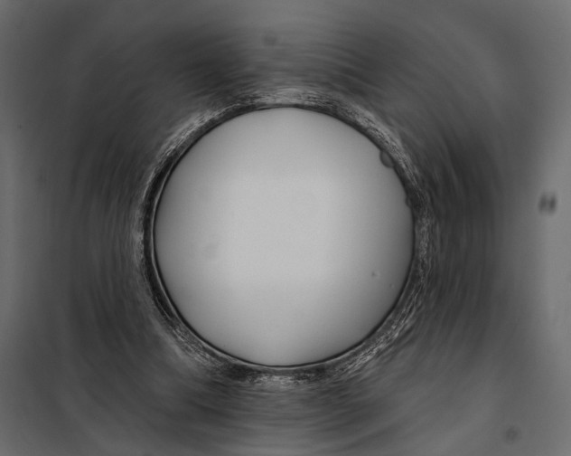 X0000098030298200804251421