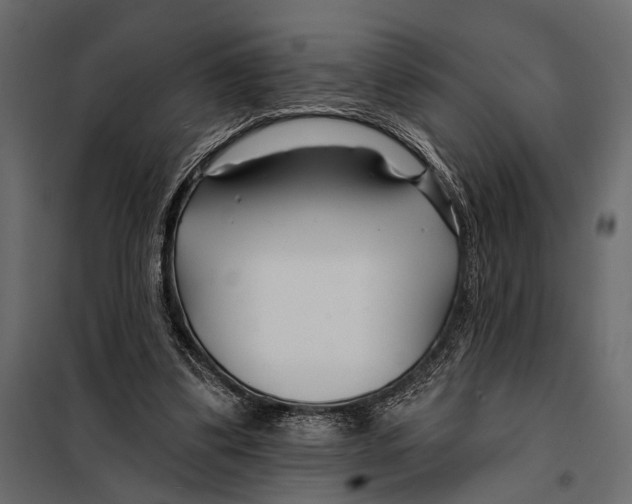 X0000098030299200804251421