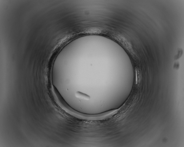 X0000098030300200804251421