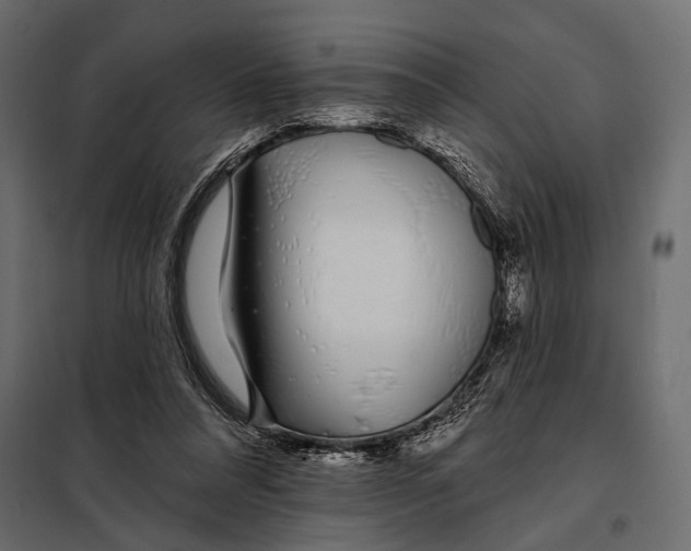 X0000098030304200804251421