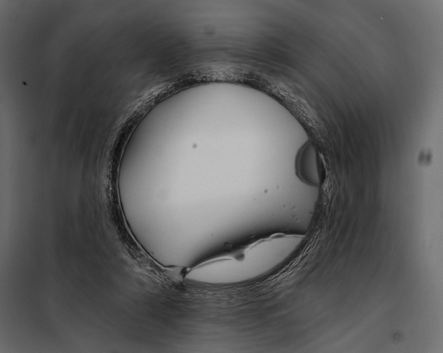 X0000098030306200804251421