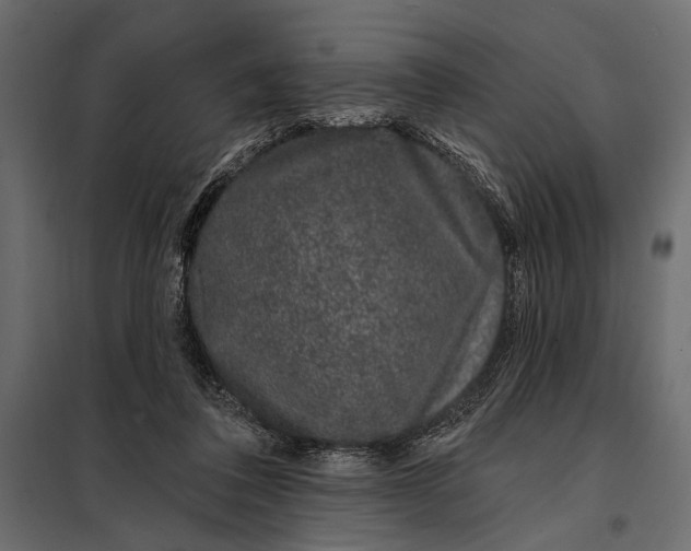 X0000098030308200804251421