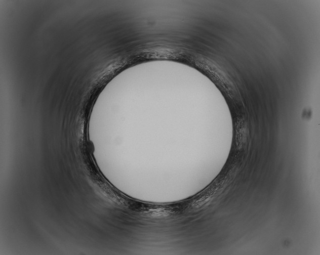 X0000098030310200804251421