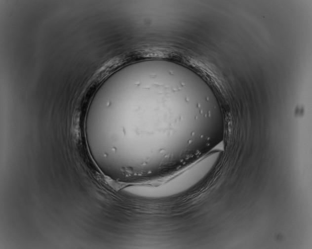 X0000098030312200804251421