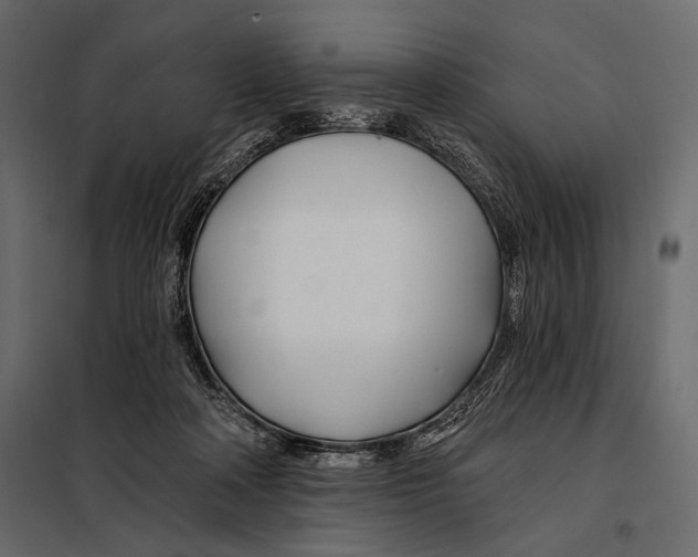 X0000098030314200804251421