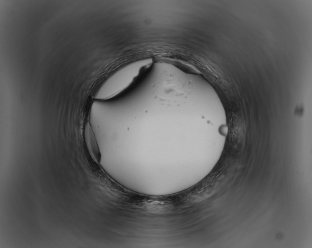 X0000098030315200804251421