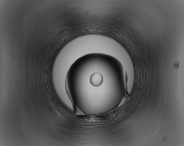 X0000098030316200804251421