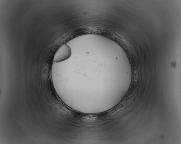 X0000098030318200804251421